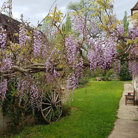 مبيت وإفطار Murat Le Moulin De Jules Et Akasha المظهر الخارجي الصورة