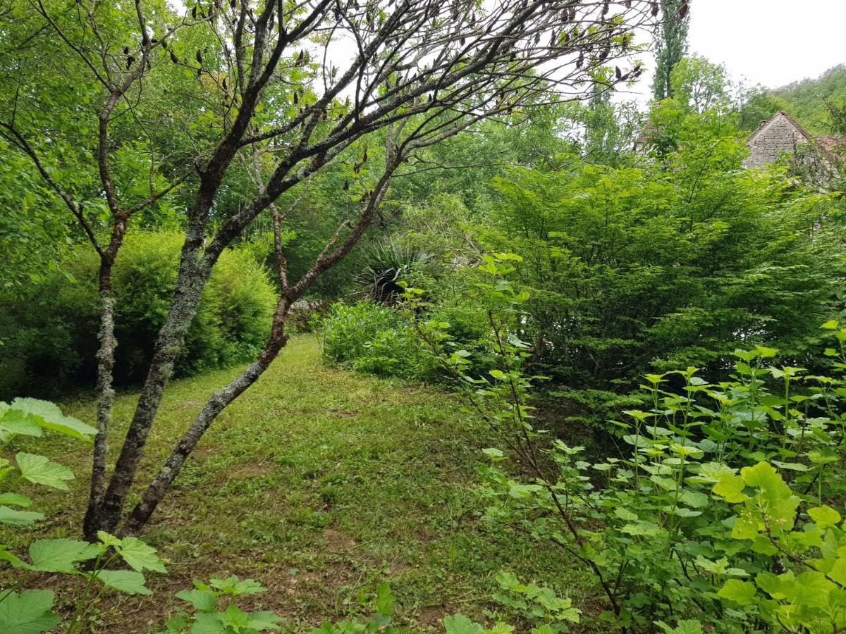 مبيت وإفطار Murat Le Moulin De Jules Et Akasha المظهر الخارجي الصورة