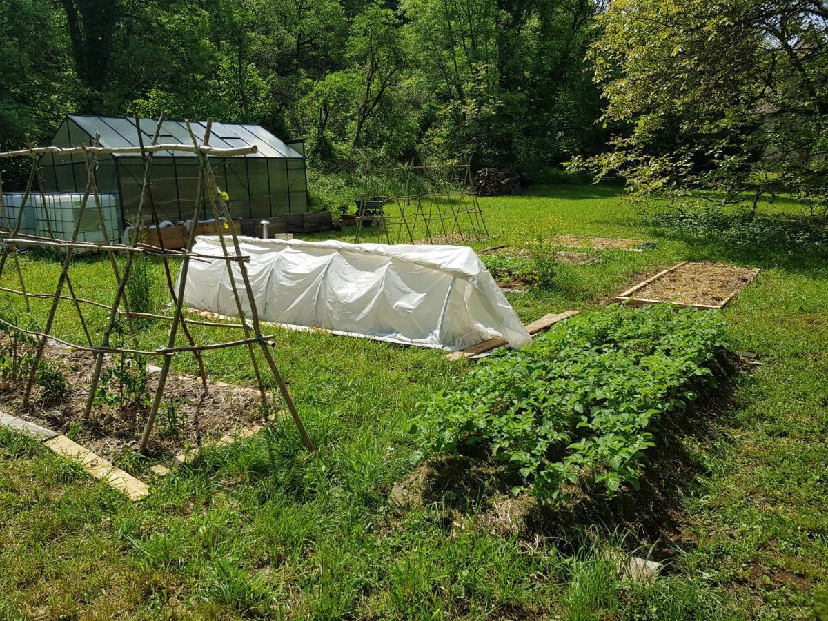 مبيت وإفطار Murat Le Moulin De Jules Et Akasha المظهر الخارجي الصورة